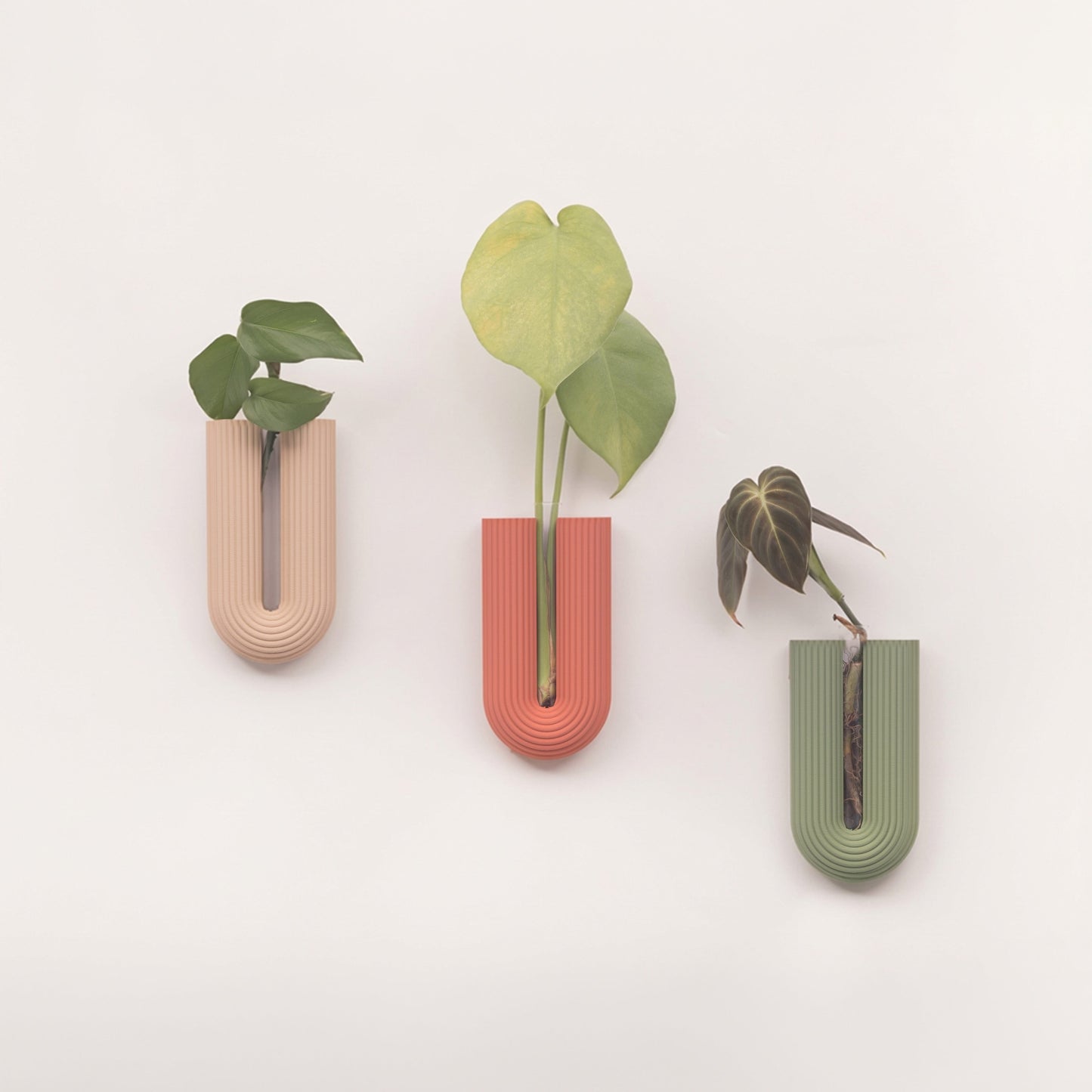 Three U-shaped planters with plants on a light background