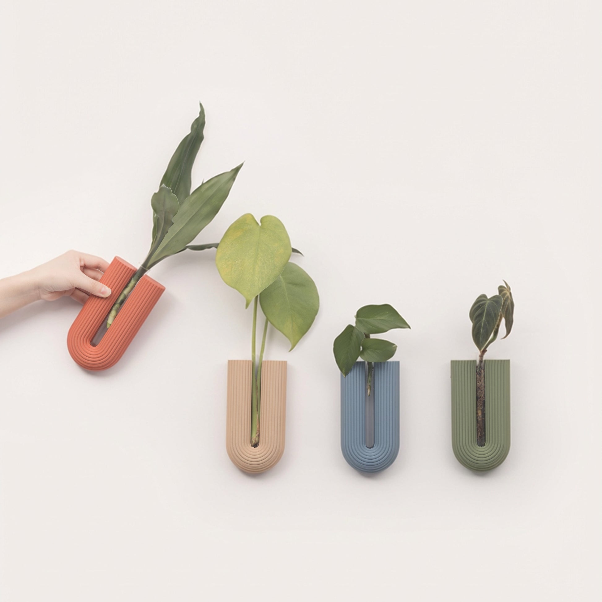 Set of four colorful wall planters with plants on a light background